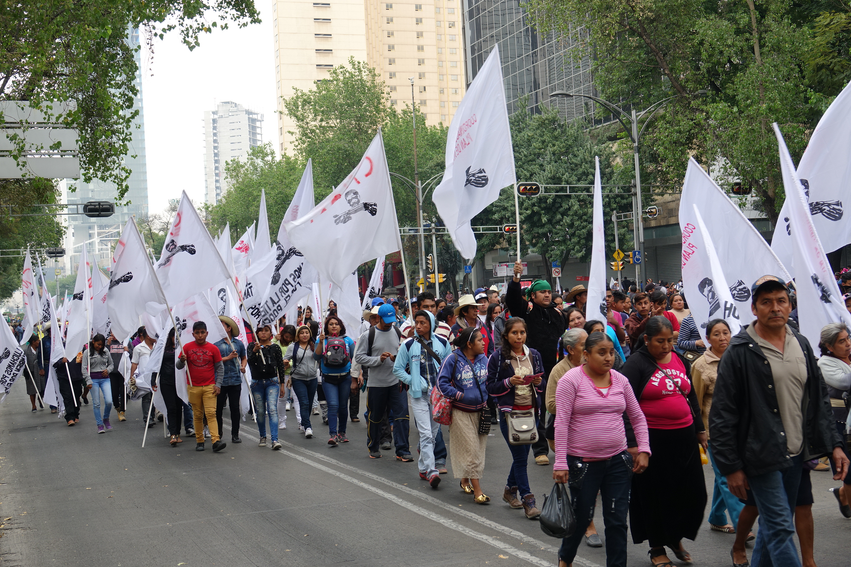 march in Mexico City