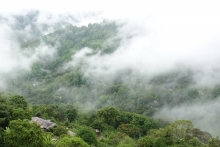 misty hills of Honduras